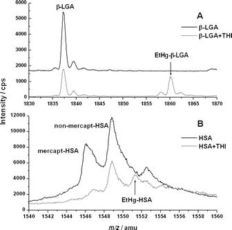 ESI-ToF-MS spectra of (A) β-LGA and its EtHg adduct in the charge state 10+; (B) HSA in its free mercaptalbumin and non-mercaptalbumin form and the HSA–EtHg adduct in the charge state 43+. m/z values are listed in Table 2.