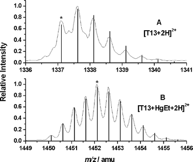 ESI-ToF-MS spectra of the peptide T13 after tryptic digestion of (A) β-LGA and (B) β-LGA with THI, both doubly charged. Profile spectra show the measured spectra and vertical lines the respective calculated values. A characteristic difference in isotopic patterns is visible between the free T13 and the mercury-containing one. Deviations between calculated and detected masses are 0.9 ppm for T13 and 4.3 ppm for EtHg+T13. Monoisotopic peaks are labelled with an asterisk.