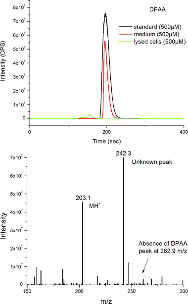 (a) LC-ICPMS for speciation analysis with DPAA standard, spiked medium, and target cells showing complete loss of DPAA to PAA as determined by spike addition. (b) ESI mass spectrum obtained for the collected peak in Fig. 6a.