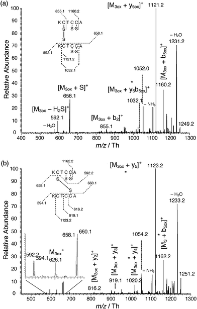 Tandem mass spectra of (a) 2M3ox (m/z = 1249.2 Th) and (b) M3 + M3ox (m/z = 1251.2 Th) at 27% of relative collision energy. * stand for compounds where alternative structures can be considered.