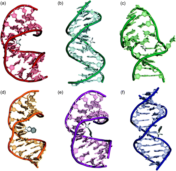 X-Ray crystal and NMR structures of double stranded DNA containing adducts of various platinum anticancer agents. (a) Cisplatin 1,2-d(GpG) intrastrand cross-link (1AIO). (b) Cisplatin 1,3-d(GpTpG) intrastrand cross-link (1DA4). (c) Cisplatin interstrand cross-link (1A2E). (d) Oxaliplatin 1,2-d(GpG) intrastrand cross-link (1PG9). (e) Satraplatin 1,2-d(GpG) intrastrand cross-link (1LU5). (f) cDPCP monofunctional adduct (3CO3). PDB accession codes are given in parentheses.