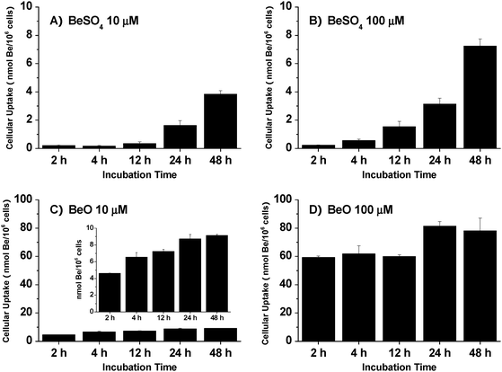 Uptake of beryllium by THP-1 macrophages as a function of beryllium solubility, incubation duration and beryllium concentration. (A), (B), (C), (D) Cellular beryllium content for incubation with 10 μM BeSO4, 100 μM BeSO4,10 μM BeO, and 100 μM BeO, respectively. The data represent the mean ± SD of three replicated experiments.