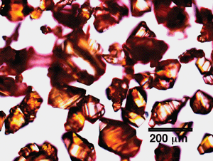 An optical micrograph of recrystallized TATB prepared by the slow cooling method.