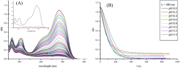 (A) UV-Vis spectra of a 2 × 10−5 M Mn(NO3)2 catalyzed oxidative degradation of 5 × 10−5 M Orange II by 0.01 M H2O2 in a 0.4 M total carbonate containing solution at pH 8.5 and 25 °C. The inset in Fig. 16A shows the first spectrum of Orange II before the addition of the catalyst and H2O2, and the final spectrum recorded after 250 s. (B) Comparison of absorbance at 480 nm vs. time plots for the 2 × 10−5 M Mn(NO3)2 catalyzed oxidative degradation of 5 × 10−5 M Orange II by 0.01 M H2O2 in a 0.4 M total carbonate containing solution at different pH values and 25 °C.