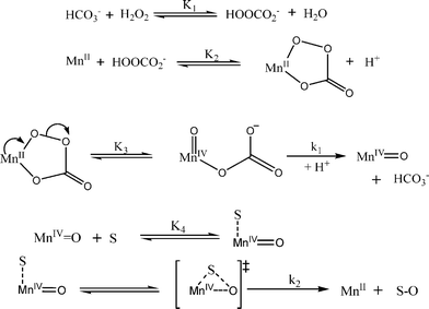 Proposed reaction mechanism for the Mn(ii) catalyzed oxidative degradation of Orange II by H2O2 in a carbonate containing aqueous solution at pH between 8–9 and 25 °C.