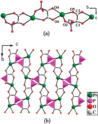 (a) 1D chain {Pr(HL)}+ and (b) A 2D praseodymium(iii) phosphonate layer in compound 3.