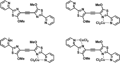 Different coordination modes of DMPTE.