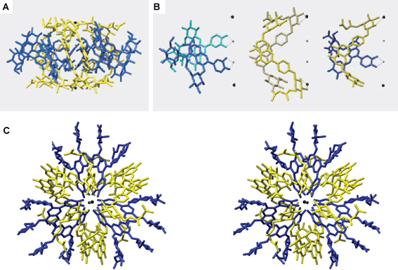 X-ray crystallographic structure of protocyanin (3). Blue, anthocyanin; yellow, flavone glycoside; red spheres, Fe3+; green spheres, Mg2+; black spheres, Ca2+. A: A side view along the pseudo-three-fold axis. B: A side view of the stacking pairs in anthocyanins (left), flavones (middle), and anthocyanin and flavone. C: A stereo-view along the pseudo-three-fold axis. (From M. Shiono et al., Nature, 2005, 436, 791, with permission).