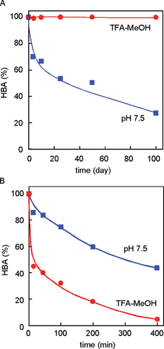 Stability of HBA (87) in the dark (A) and under UV-B irradiation (B) (87: 50 µM, 25 °C).