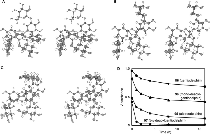 The optimized conformation of mono-deacylated gentiodelphins (95 and 96) by molecular modeling and their stability. A: The optimized conformation of 95 in acidic water. B: The optimized conformation of 96 in acidic water. C: The optimized conformation of 96 in neutral water. D: Stability of 86, 95–97 in buffered solution (pigment concentration: 50 µM, pH 6.0, 25 °C, path length 10 mm). (From K. Yoshida et al., Phytochemistry, 2000, 54, 85–92, with permission).