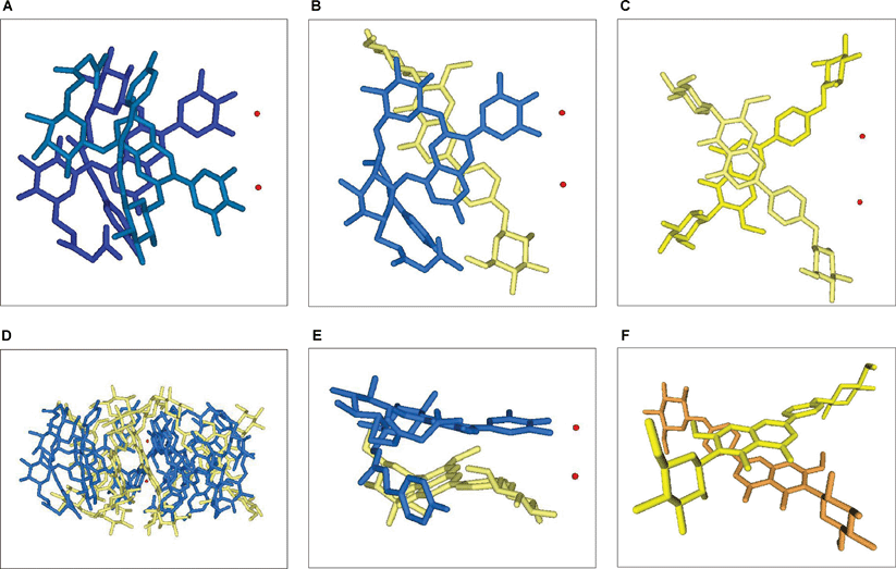 Stacking structure of commelinin (2). Blue: Ma (8), yellow and orange: Fc (9), red: Mg2+. A: A side view of a left-handed stacking of two Ma units (8) that coordinate to different Mg ions, B: A side view of a co-pigmentation of Ma (8) and Fc (9) in a right-handed stacking arrangement, C: A side view of a left-handed stacking of two Fc units (9), D: A side view of commelinin (2), E: A skew view of a co-pigmentation between Ma and Fc, F: A skew view of the self-association of two Fc units.