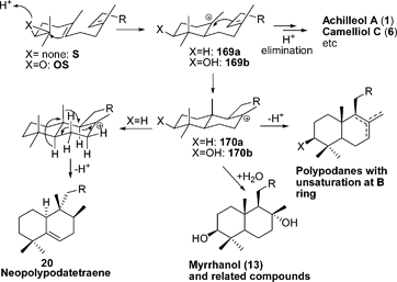 Proposed biosynthesis of achillanes and polypodanes.