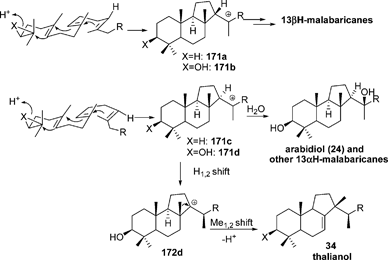 Proposed biosynthesis of malabaricanes.