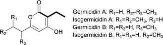 Chemical structures of the germicidins.