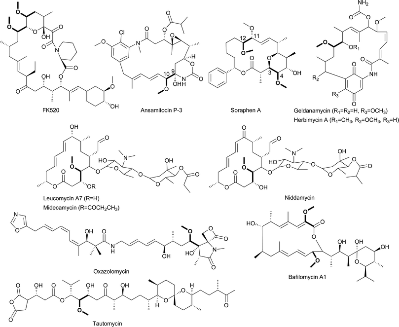 Chemical structures of natural products that incorporate (2R)-methoxymalonyl-ACP.