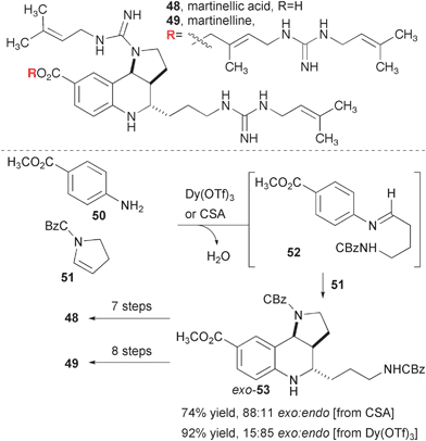 Synthesis of martinellic acid and martinelline.