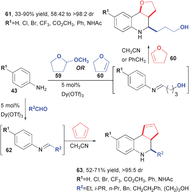 Synthesis of diverse heterocycles using the dysprosium-catalyzed Povarov reaction.