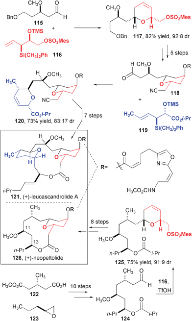 Synthesis of leucascandrolide and neopeltolide.