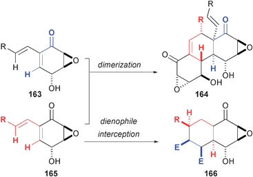 Diels-Alder reactions of epoxyquinols.