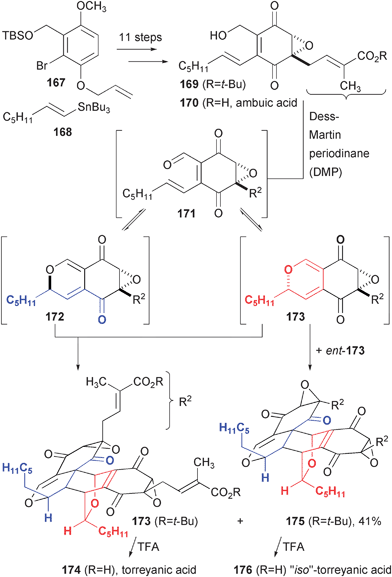 Biomimetic synthesis of torreyanic acid.