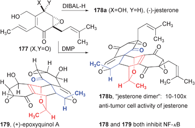 Synthesis of jesterone dimer.