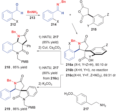 Divergent cyclization reactions of a lactam core derived from imine-anhydride cycloaddition.