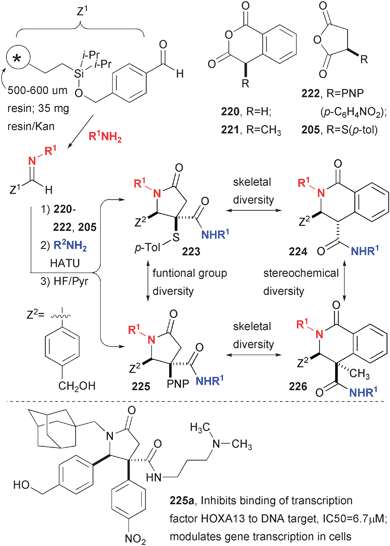 Efficient synthesis of lactam carboxamides with a high level of skeletal diversity.