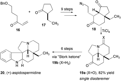 Synthesis of aspidospermine.