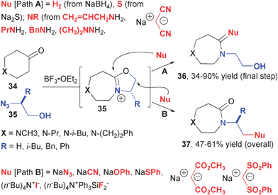 Regioselective nucleophilic opening of cyclic iminium ether intermediates of Schmidt reactions.