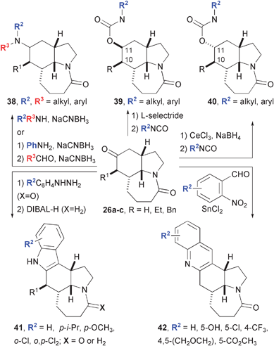 Diversification of intramolecular Schmidt reaction product 26.