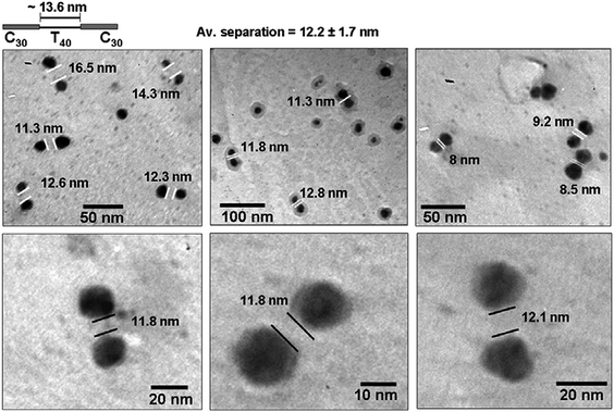 Representative TEM images of the silver nanoparticle doublets assembled on the oligonucleotide C30–T40–C30.