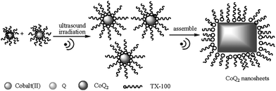 Schematic diagram showing the formation of CoQ2nanosheets.