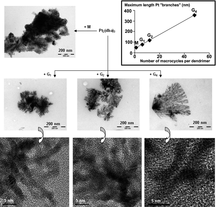 Results of the reactions of monomer M and dendrimersG1, G2, and G4 with Pt2(dba)3. TEM images (upper part, 200 nm: low resolution TEM; lower part, 5 nm: high resolution TEM). Insert: variation of the maximum length of nanoparticle “branches” versus the number of macrocycles per dendrimer.