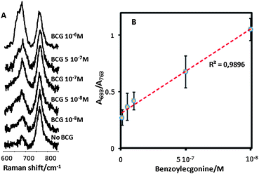 (A) SERS spectra for free anti-BCG antibody and in the presence of decreasing concentrations of BCG. (B) Variation of the relative contribution of the C–C and C–H bending bands (ratio between corresponding areas) with BCG concentration. The red dotted line is a linear fit to the data.