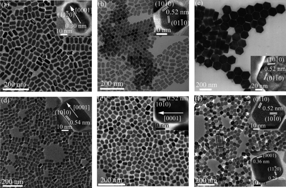 
          TEM and HRTEM (insets) images of NaYF4nanorods (a) and (b), NaYF4 nanoplates (c), NaNdF4nanorods (d), NaEuF4nanorods (e), NaHoF4 nanoplates (f). Reproduced with permission from reference 55. Copyright American Chemical Society, 2005.