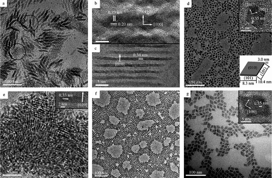 
          TEM and HRTEM (insets) images of GdF3 (a), (b) and (c), YF3 (d) and (e), HoF3 (f) and YbF3 (g) nanoparticles. Reproduced with permission from reference 58. Copyright Wiley VCH, 2007.