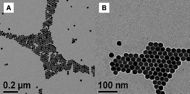 
          TEM images of NaYF4:Er, Yb nanoparticles. Reproduced with permission from reference 65. Copyright American Chemical Society, 2007.