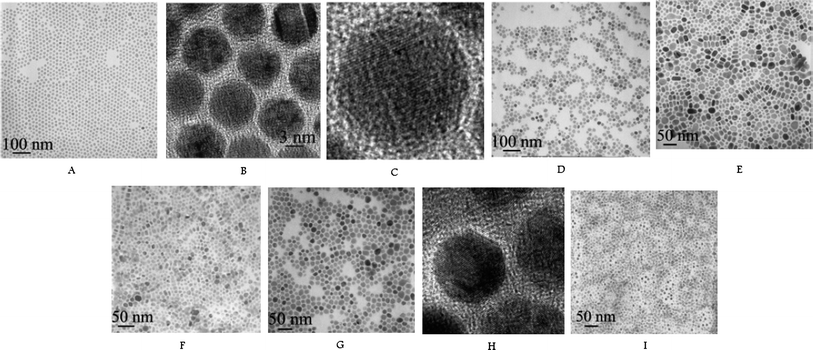 
          TEM images of NaYF4 (A, B, C), CeF3 (D), PrF3 (E), NdF3 (F), LaF3 (G, H), NaYb2F7 (I). Reproduced with permission from reference 13. Copyright American Chemical Society, 2006.