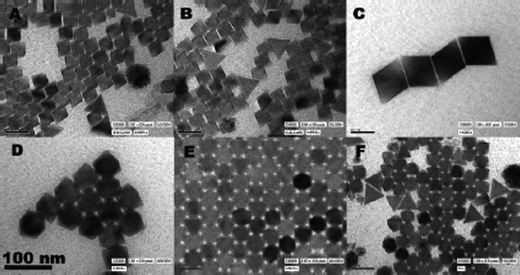 
          TEM images of YF3nanoparticles using the one-solution method. Reproduced with permission from reference 20. Copyright American Chemical Society, 2005.