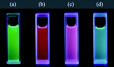 Photo of NaGdF4 particles dispersed in solution and illuminated under UV, the particles have been doped with Tb3+, Eu3+, Sm3+ and Dy3+ for (a), (b), (c) and (d) respectively. Reproduced with permission from reference 25. Copyright Institute of Physics Publishing, 2007.