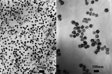 
          TEM images of hexagonal NaYF4:Yb, Er nanoplates formed at 260 °C. Reproduced with permission from reference 40. Copyright American Chemical Society, 2006.