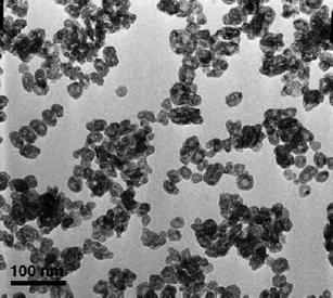 
          TEM image of PrF3nanoparticles after microwave heating. Reproduced with permission from reference 44. Copyright Elsevier, 2007.