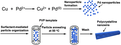 A schematic illustration of formation of Pd nanocontacts and nanowire growth.