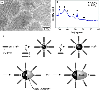 (a) HRTEM image, (b) XRD pattern and (c) schematic illustration for the formation mechanism of PdCo sulfide nanoacorns (from ref. 6, T. Teranishi et al., J. Am. Chem. Soc., 2004, 126, 9914, with permission from the American Chemical Society, 2004).