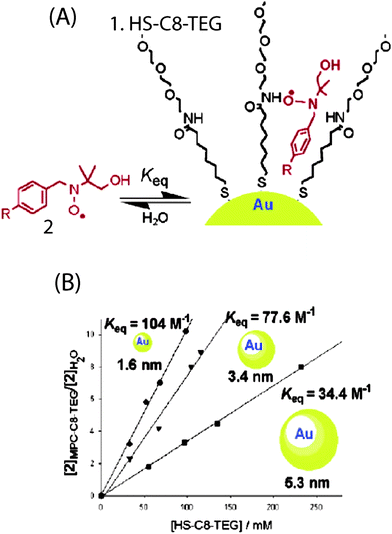 (A) Schematic representation of AuNP and the nitroxide probe inclusion. (B) Plot of the ratio between the concentration of 2 partitioned in the monolayer and that of the free species (● 16 nm; ▼ 3.4 nm; ■ 5.3 nm) as a function of [HS-C8-TEG] bound to the gold. Reprinted with permission from ref. 36b (Copyright 2005 The American Chemical Society).