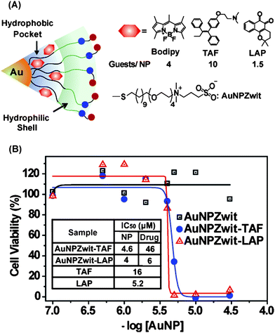 (A) Structure of particles and guest compounds: Bodipy, TAF, and LAP, the number of encapsulated guests per particle (B) Cytotoxicity of AuNPZwit complexes measured by Alamar blueassay after 24 h incubation with MCF-7 cells. IC50 of AuNP (NP), equivalent drugs (Drug), and free drugs are shown in the table.