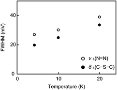 Temperature dependence of νs(NN) and δs(C–S–C) peak widths.