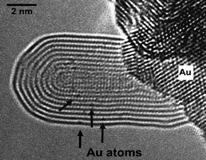 Substitutional Au atoms (arrowed) in the shells of a MWNT that is attached to a Au crystal.37