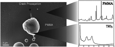 
            SEM micrograph (left) and corresponding Raman spectra (right) of a poly(methyl methacrylate) surface showing that a microcrack was healed by a TiO2 clot formed by reaction of air with TiCl4 contained in the inner of the polymeric matrix. Reproduced with permission from ref. 57. Copyright (2008) Wiley-VCH.