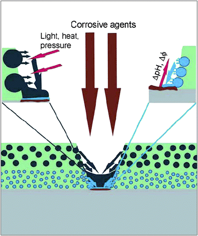 Cartoon representing the opportunities offered by coatings containing multifunctional nanoparticles. The release of healing agents can be triggered by the corrosion process, through a local pH change, or can be externally triggered by light, heat or mechanical stress. Reproduced with permission from ref. 68. Copyright (2007) Wiley-VCH.